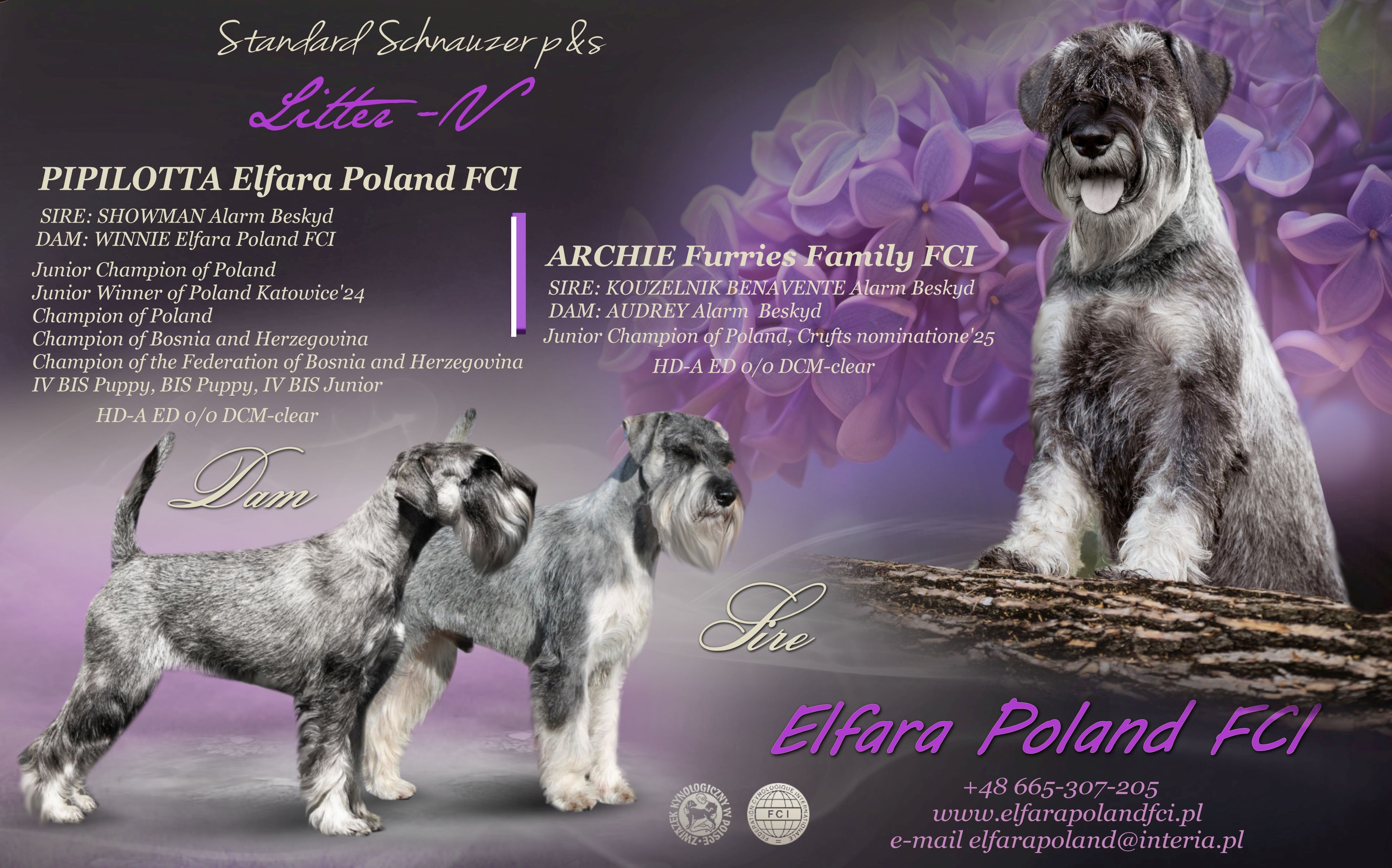 allsa
